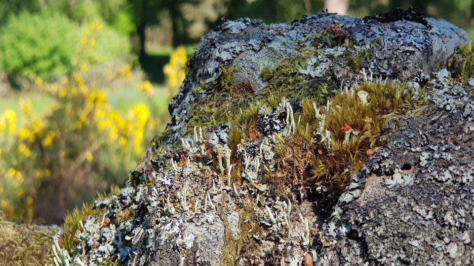 Slideshow 5 - Slide 25